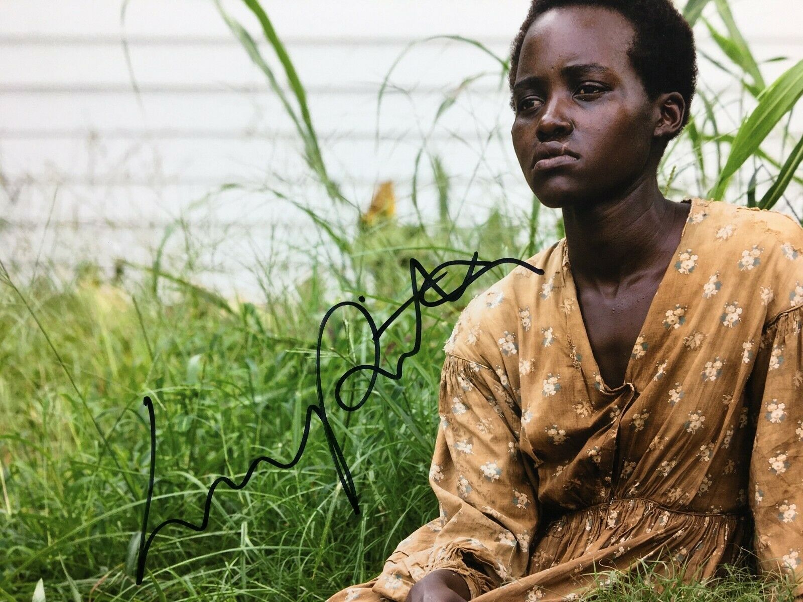 Lupita Nyong O 12 Years A Slave Lupita Nyong'o Signed '12 Years A Slave' 11x14 Photo *Patsey PSA AH74084