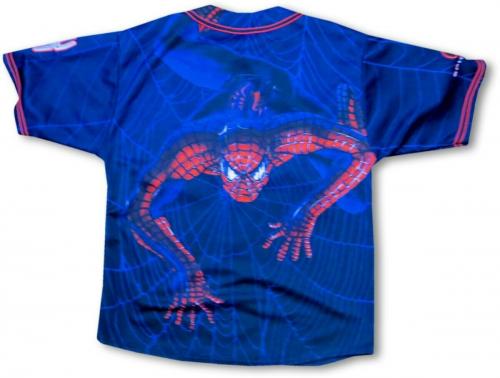 Stan Lee Signed Autographed Baseball Jersey Custom Spider-Man JSA BB509205