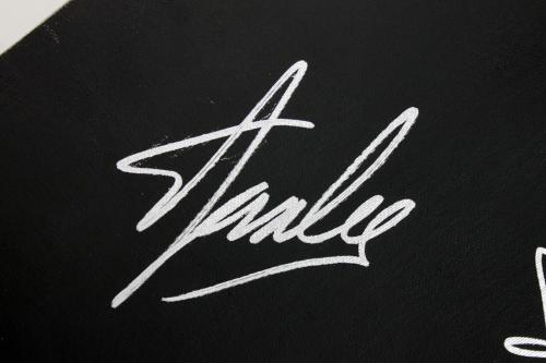 Stan Lee Signed 16x20 Canvas w/ Spider-man Sketch PSA/DNA #W00378