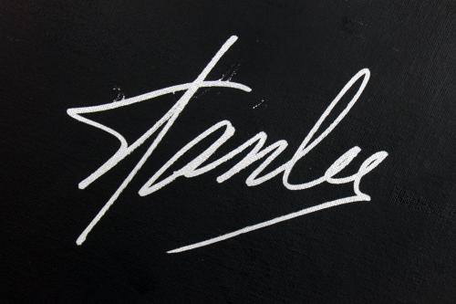 Stan Lee Signed 16x20 Canvas w/ Spider-man Sketch PSA/DNA #W00380