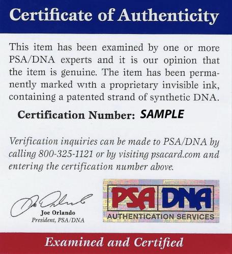 Steven Tyler signed 8x10 photo PSA/DNA Autographed