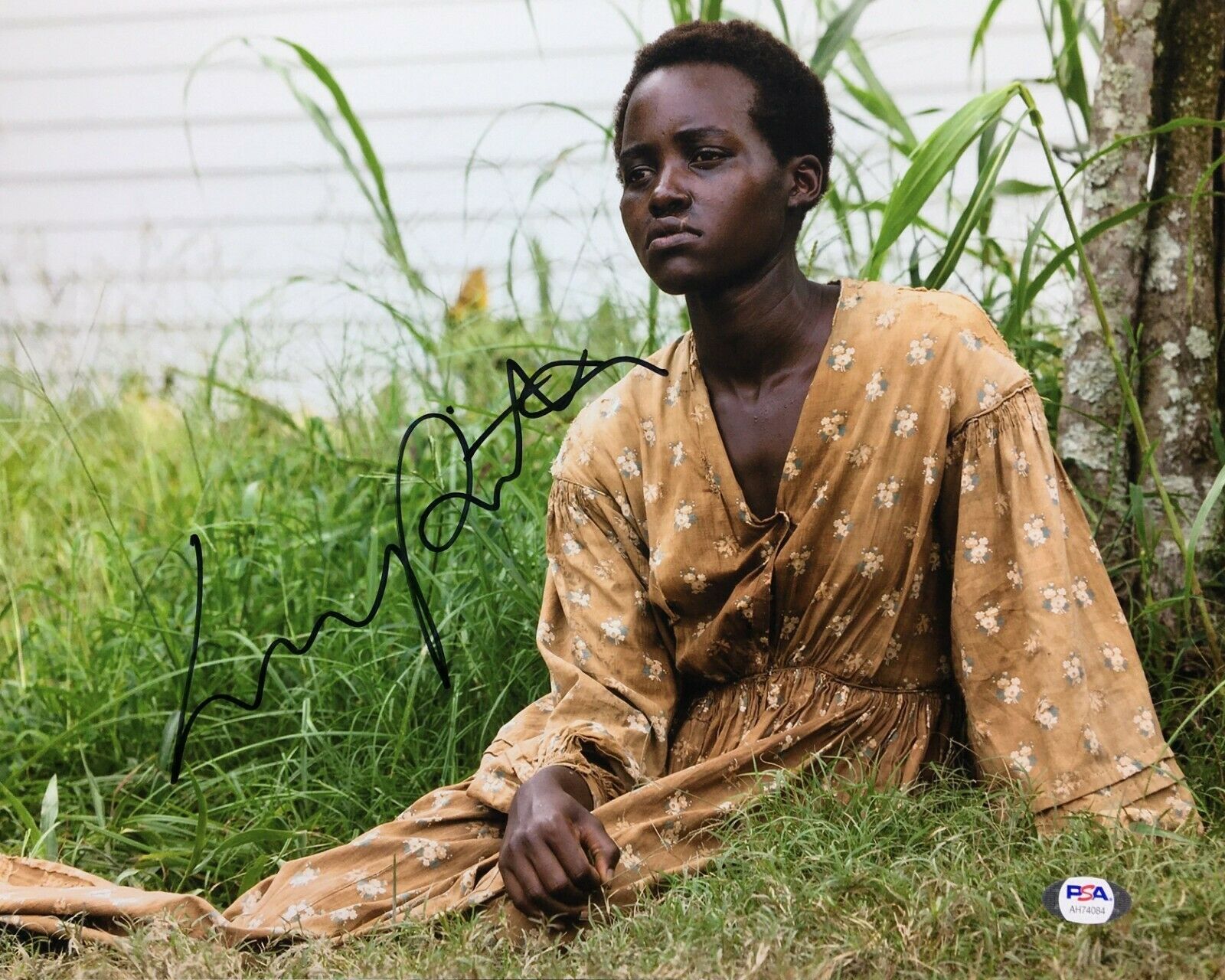 Lupita Nyong O 12 Years A Slave Lupita Nyong'o Signed '12 Years A Slave' 11x14 Photo *Patsey PSA AH74084