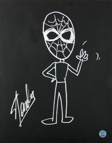 Stan Lee Signed 16x20 Canvas w/ Spider-man Sketch PSA/DNA #W00383