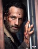 Andrew Lincoln Memorabilia