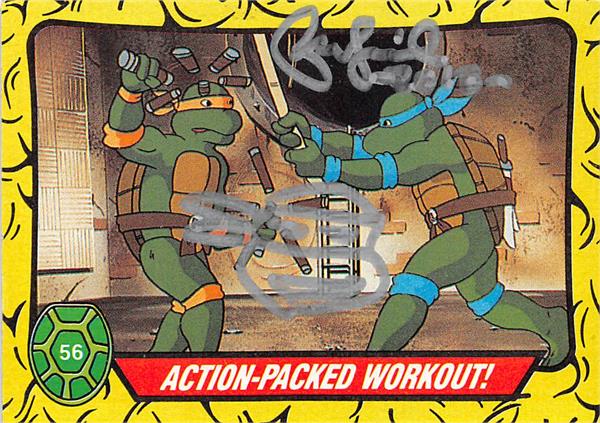 Teenage Mutant Ninja Turtles 1990 Cartoon - Carton