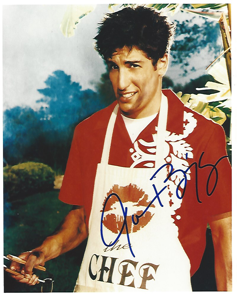 Jason Biggs Best Known For His Role As Jim Levenstein In The 5594