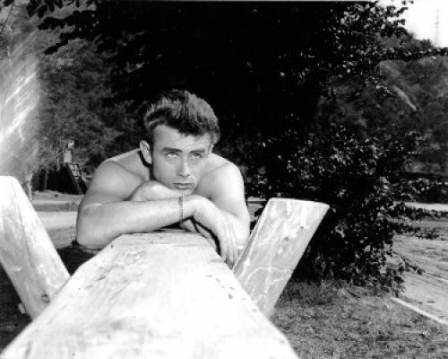James Dean unsigned Vintage B&W 8x10 Poster Card/Photo leaning on pole 