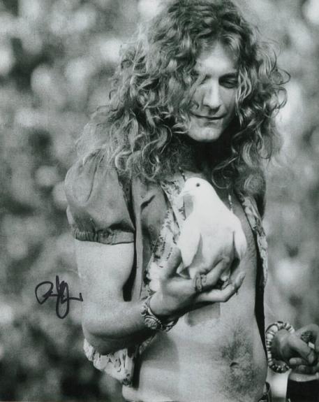 Robert Plant Signed Autograph 8x10 Photo - Shirtless Led Zeppelin Frontman Jsa