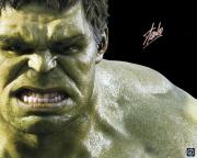 Stan Lee Signed Hulk Avengers 16x20 Photo