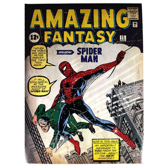 Stan Lee Signed Marvel Comics Retro: Amazing Spider Man 24x36 Poster (Signed in Silver)