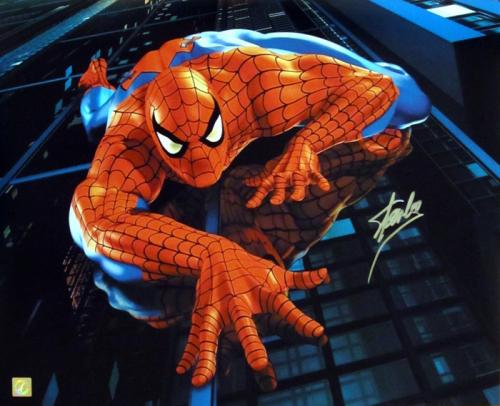 Stan Lee Signed Spiderman 16x20 Photo