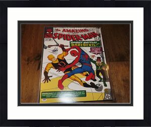 Stan Lee Signed The Amazing Spider-Man 16x20 Photo Autographed PSA/DNA COA